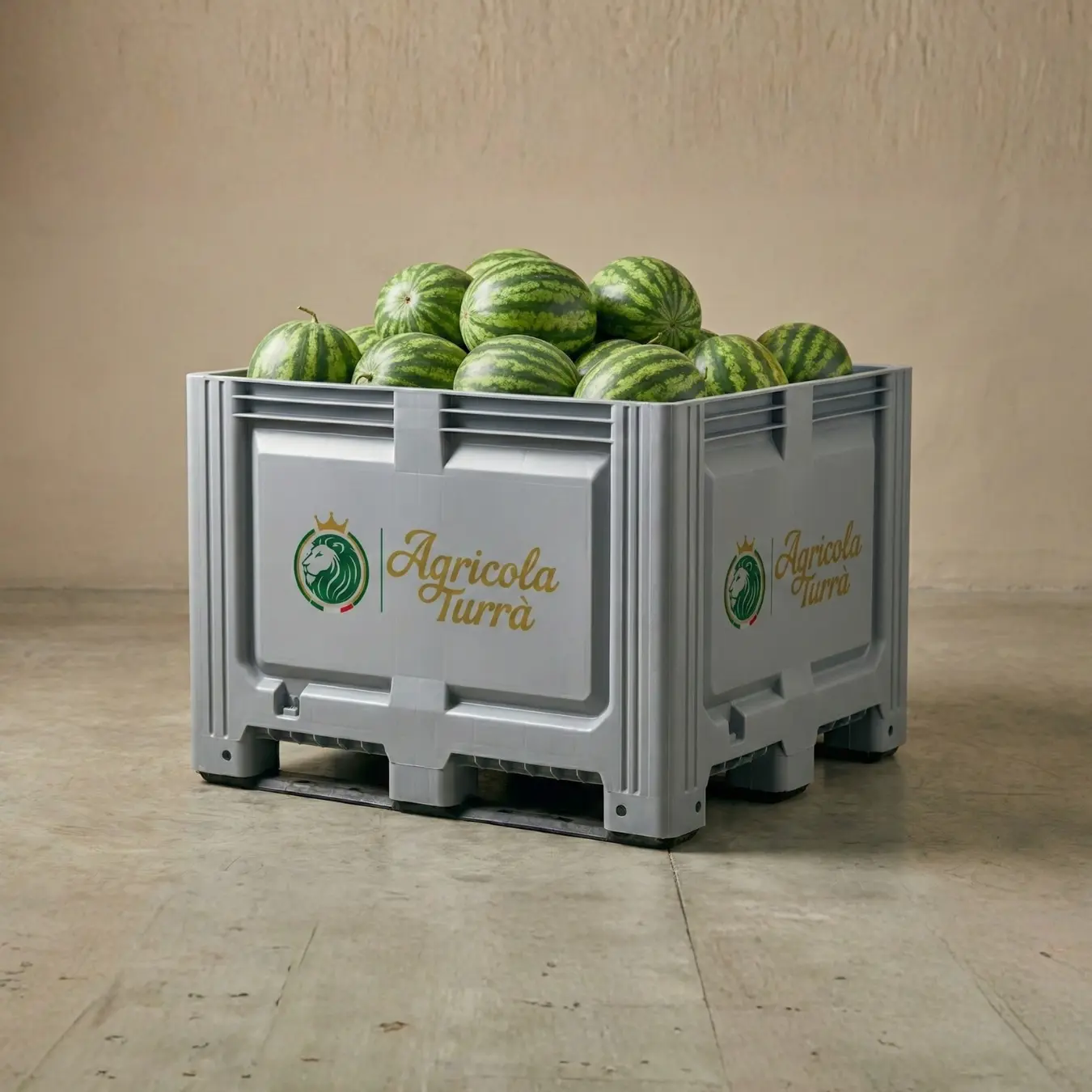 Agricola Turrà | Produzione e Lavorazione Finocchi, Angurie, Mini ...